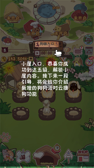 狗狗派对