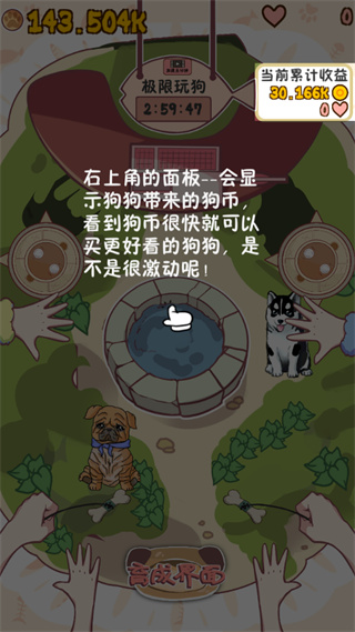 狗狗派对