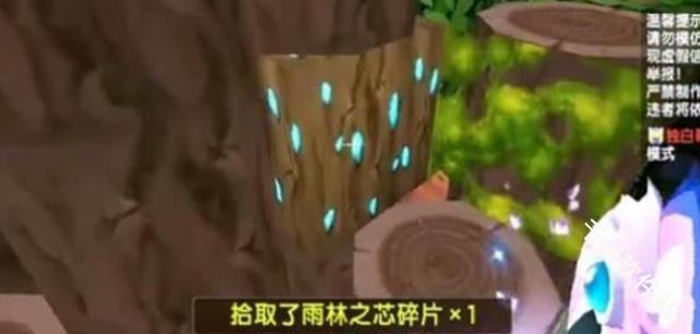 迷你世界雨林版本