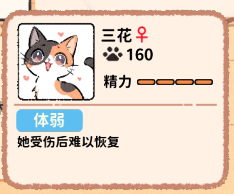 猫咖怪谈