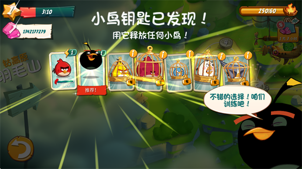 愤怒的小鸟2