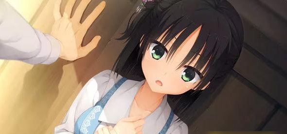 千恋万花冷狐版