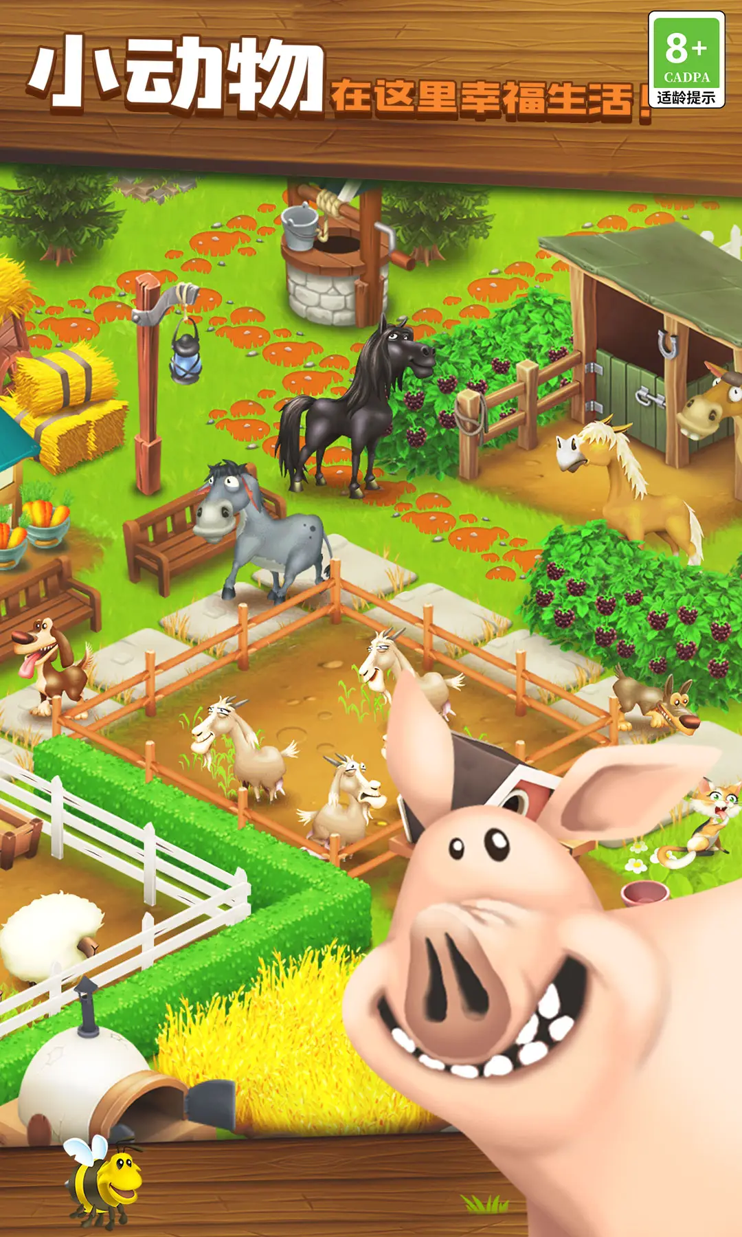 卡通农场国际服