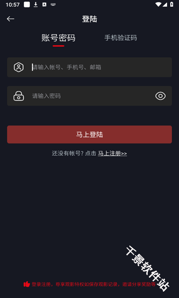 网飞猫