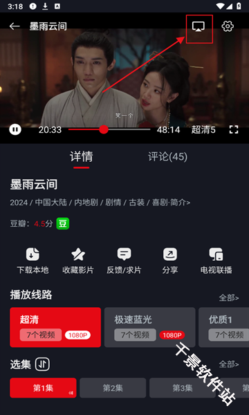 网飞猫