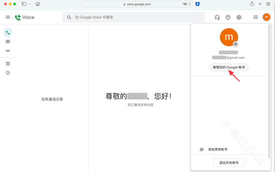 google voice