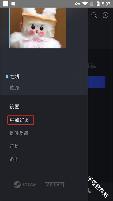 Steam Chat