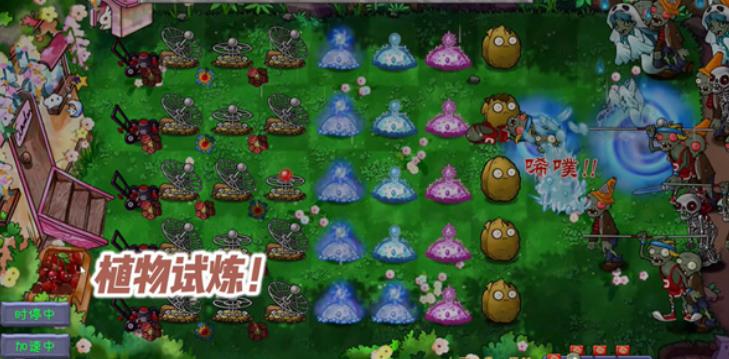 植物大战僵尸共生版
