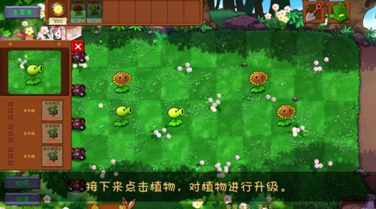 植物大战僵尸共生版