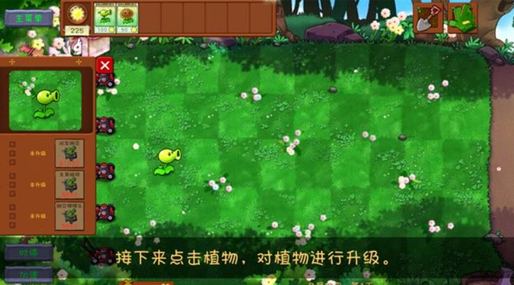 植物大战僵尸共生版