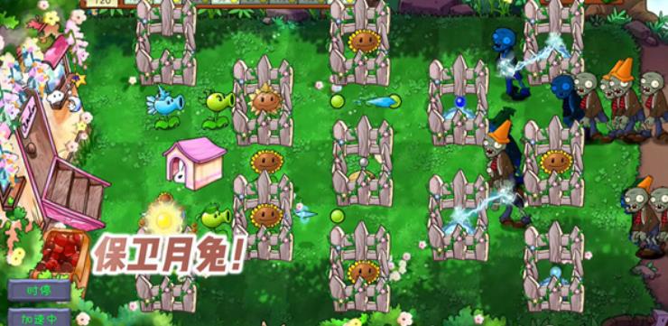 植物大战僵尸共生版