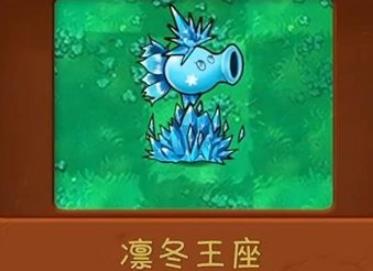 植物大战僵尸共生版
