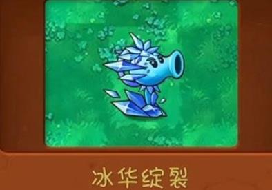植物大战僵尸共生版