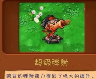 植物大战僵尸共生版