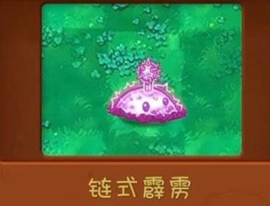 植物大战僵尸共生版