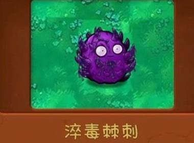 植物大战僵尸共生版