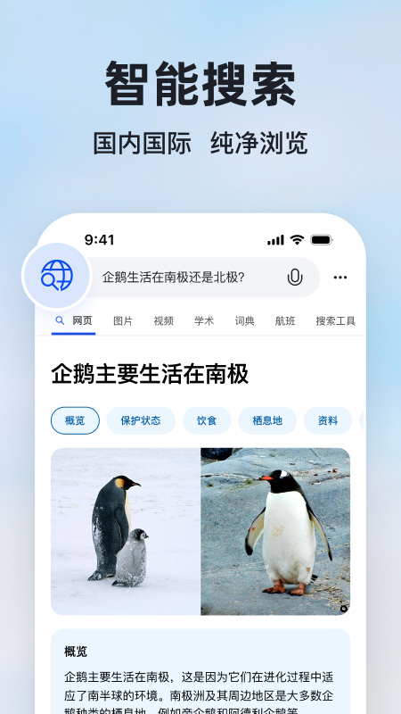 Bing浏览器
