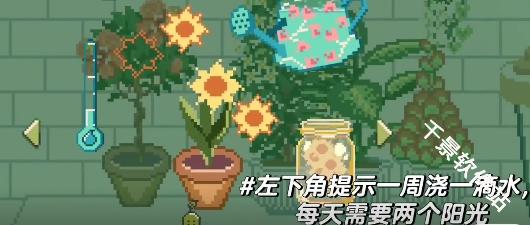 窗边花园