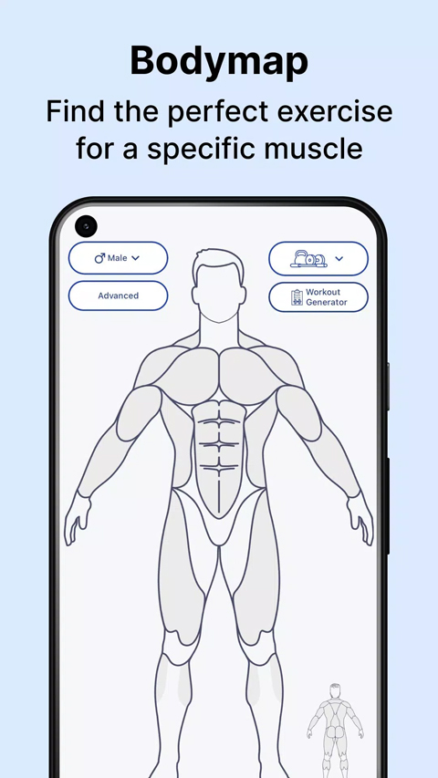 MuscleWiki截图1