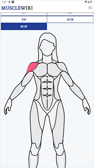 MuscleWiki