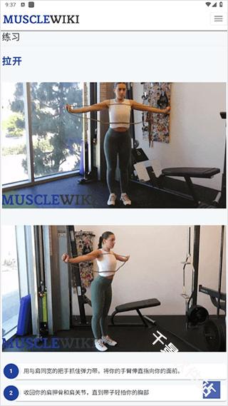 MuscleWiki