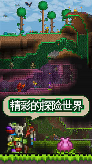 泰拉瑞亚截图3