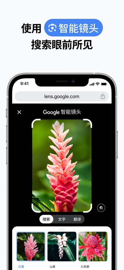 Chrome浏览器