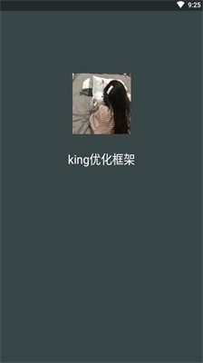 king优化框架截图1