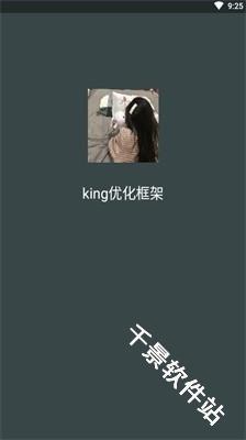 king优化框架