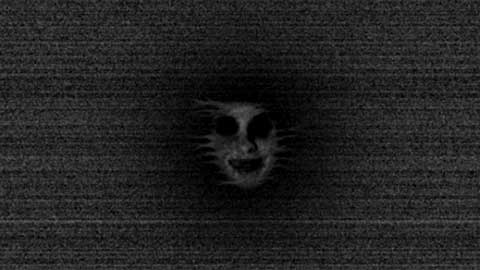 恐怖森林