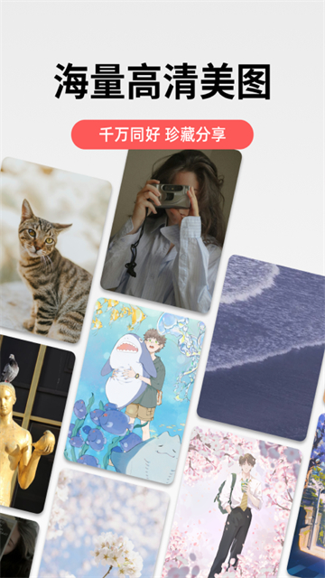 堆糖截图1
