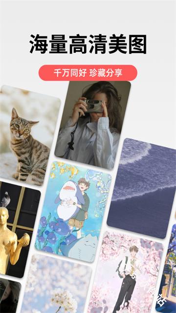 堆糖