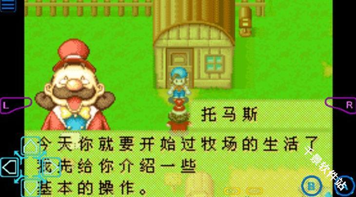牧场物语矿石镇的伙伴们