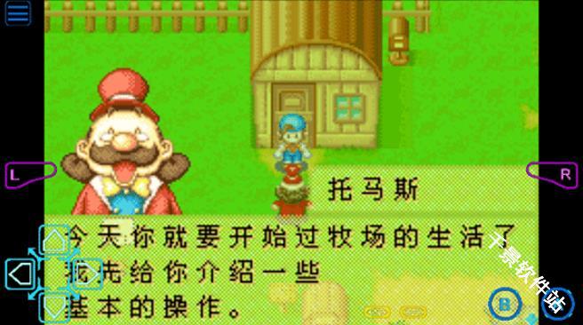 牧场物语矿石镇的伙伴们