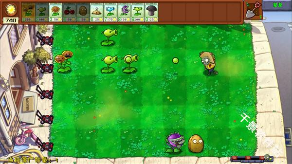 植物大战僵尸花园嘉年华