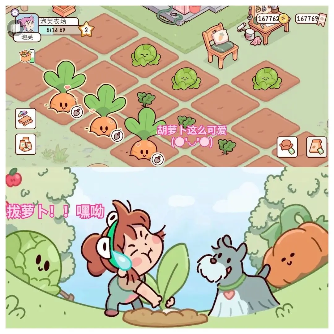 我亲爱的农场