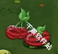 植物大战僵尸转基因版