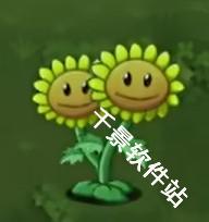 植物大战僵尸转基因版