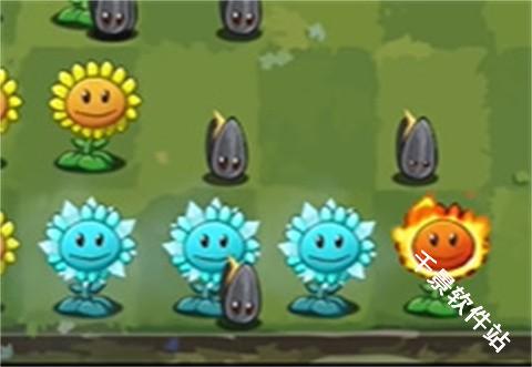 植物大战僵尸转基因版