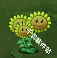 植物大战僵尸转基因版
