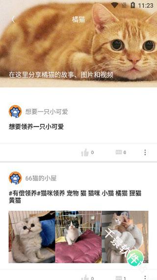 握爪