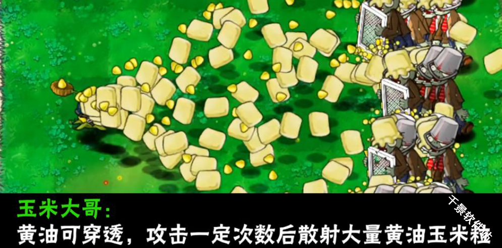 植物大战僵尸大哥版