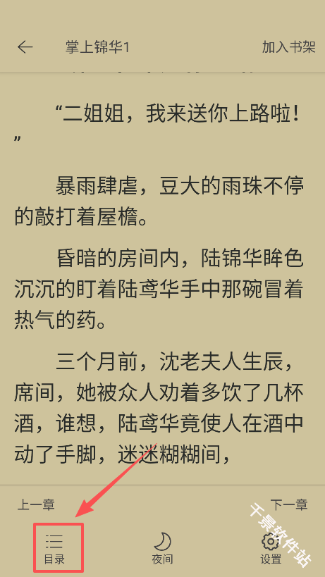 灵猫看看