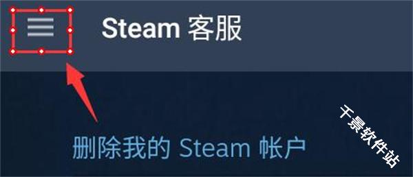 Steam