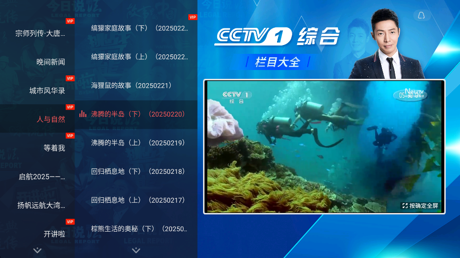 央视频TV版