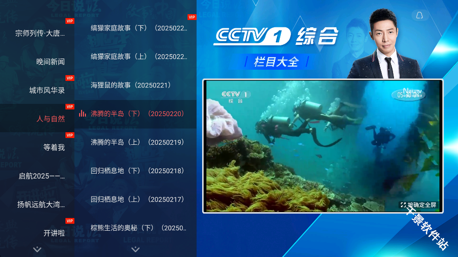 央视频TV版