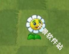 植物大战僵尸手表版