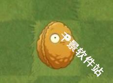 植物大战僵尸手表版