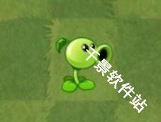 植物大战僵尸手表版