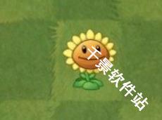 植物大战僵尸手表版